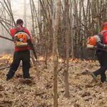 ððð¡ðððð§ð-:-เจ้าหน้าที่สถานีควบคุมไฟป่าลุ่มน้ำปาย-ร่วมกับ-อส.