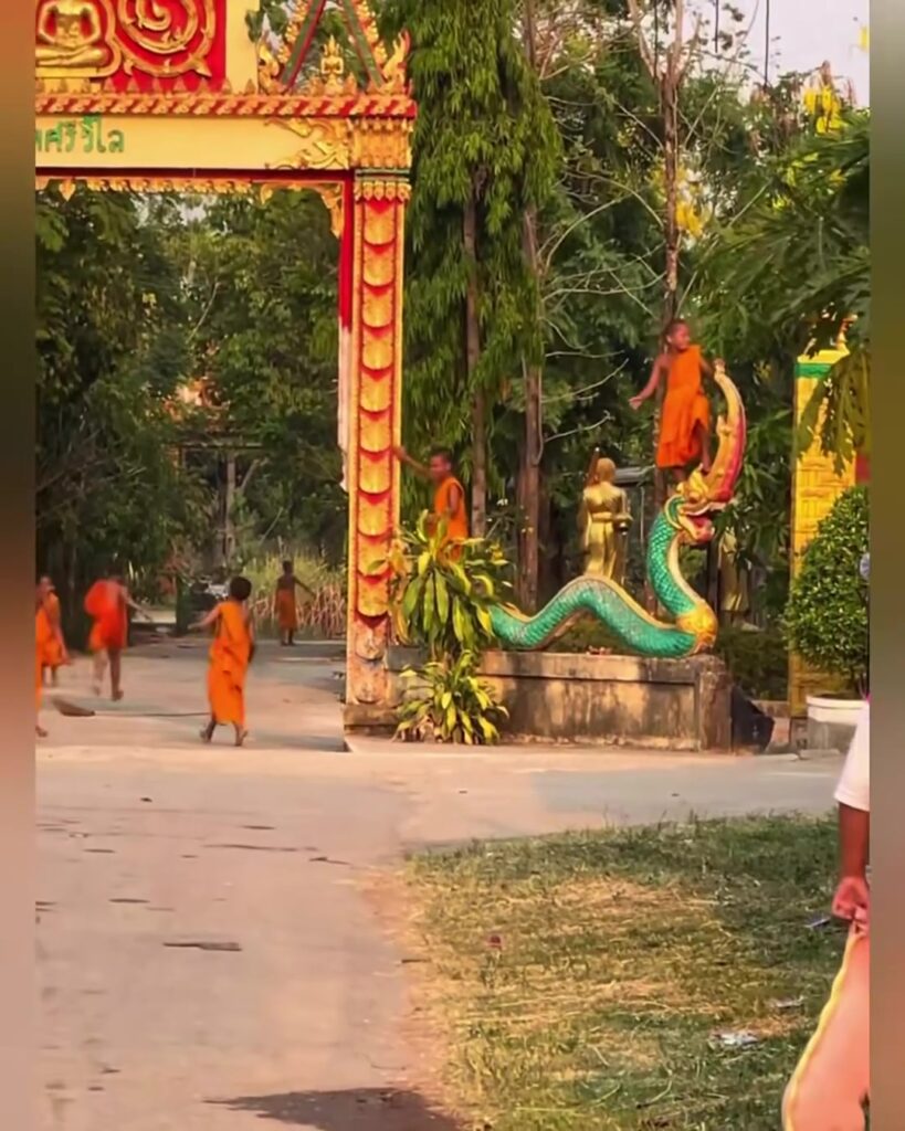 คุ้มวัดส่งเข้าประกวด-หลวงพ่อว่า-ปีนี้บ่เน้นร้องพะนะ-(feed-g