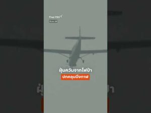 ฝุ่นควันจาก ไฟป่า ปกคลุม บึงกาฬ   ThaiPBS