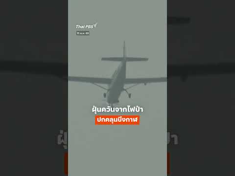 ฝุ่นควันจาก ไฟป่า ปกคลุม บึงกาฬ   ThaiPBS