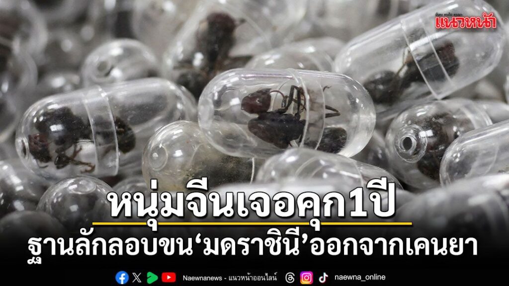 ชายสัญชาติจีน-วัย-27-ปี-ถูกศาลในกรุงไนโรบี-ประเทศเคนยา-ตัดสิ