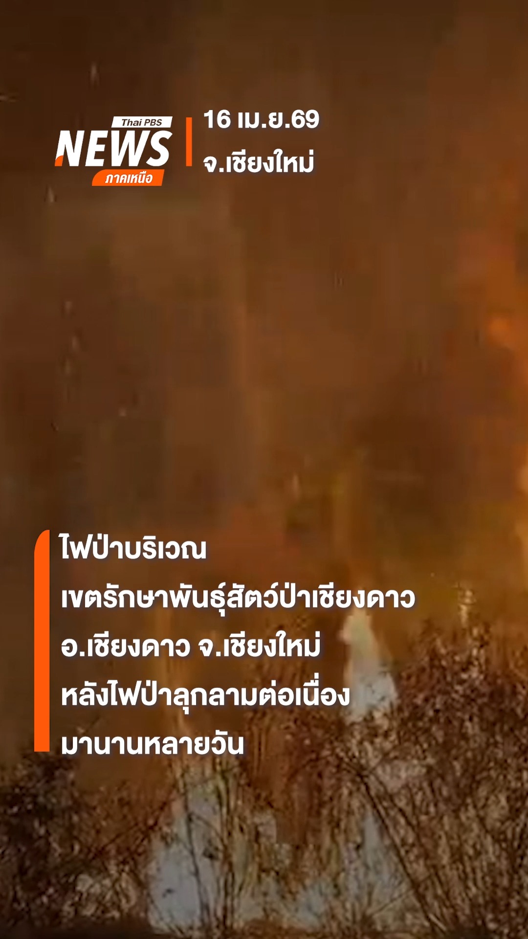 ภาพไฟป่าที่เกิดขึ้น-บริเวณเขตรักษาพันธุ์สัตว์ป่าเชียงดาว-อำเ