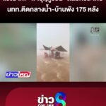นาทีพายุฤดูร้อนถล่ม-ศรีสะเกษ-นททกลายเป็นผู้ประสบภัยติดกลางน้ำ-|-17-เม.ย