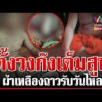 ด่วน หลวงพ่อสายตี้ หลุดว่อนพระวัดดังตั้งวงก๊งเต็มสูบ  17/04/69