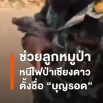 เชียงใหม่ไฟป่ายังหนัก-พบ-89-จุดความร้อน-เชียงดาวอ่วม-ช่วยล