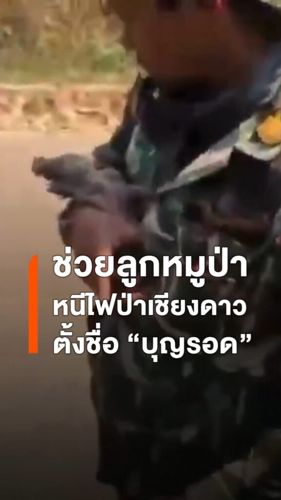 เชียงใหม่ไฟป่ายังหนัก-พบ-89-จุดความร้อน-เชียงดาวอ่วม-ช่วยล