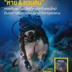 ไม่มีใครคิดว่า-การค้นพบซากเรืออับปางลำหนึ่งนอกชายฝั่งเกาะเมล