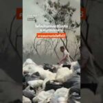 ไฟไหม้กองขยะรีไซเคิล สมุทรปราการ คาดคนงานก่อไฟทิ้งไว้   ThaiPBS