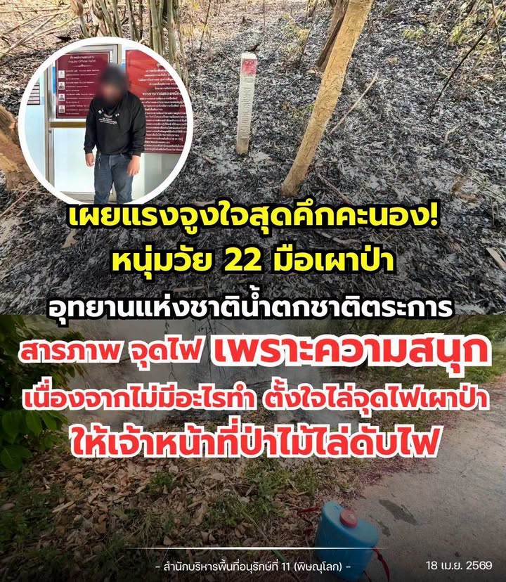 เผยแรงจูงใจสุดคึกคะนอง-หนุ่มวัย-22-มือเผาป่าอุทยานแห่งชาติน