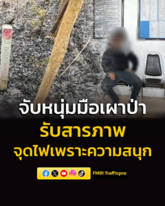 รวบหนุ่มมือเผาป่าอุทยานแห่งชาติน้ำตกชาติตระการ-สารภาพจุดไฟเพ-|-2026-04-19-11:38:00