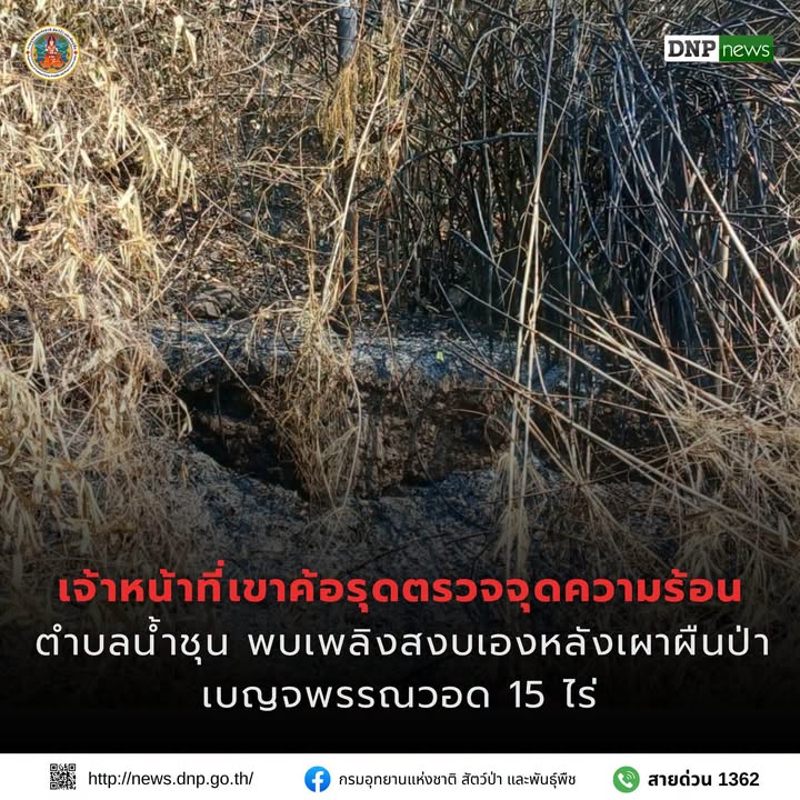 ððð¡ðððð§ð-:-เจ้าหน้าที่เขาค้อรุดตรวจจุดความร้อนตำบลน้ำชุน-พบเ