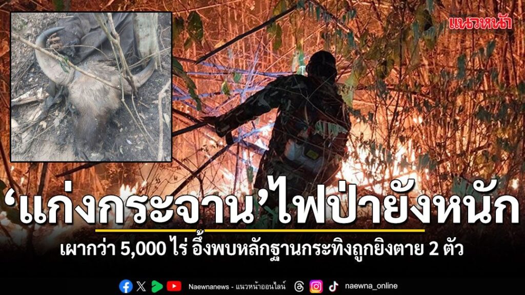 สภาพไฟป่าแก่งกระจานลุกลามหนักแล้วมีพื้นที่ถูกเผากว่า-5,000-ไ