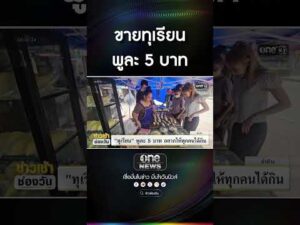 ขายทุเรียน พูละ 5 บาท | สำนักข่าววันนิวส์