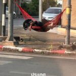 -ประเทศอุดร-เมืองน่าอยู่-ผู้คนสบาย-หลับไหลได้ทุกที่️-ประ