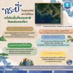 -กระบี่-พื้นที่ชายฝั่งทะเลอันดามันที่เต็มไปด้วยความหลากหล