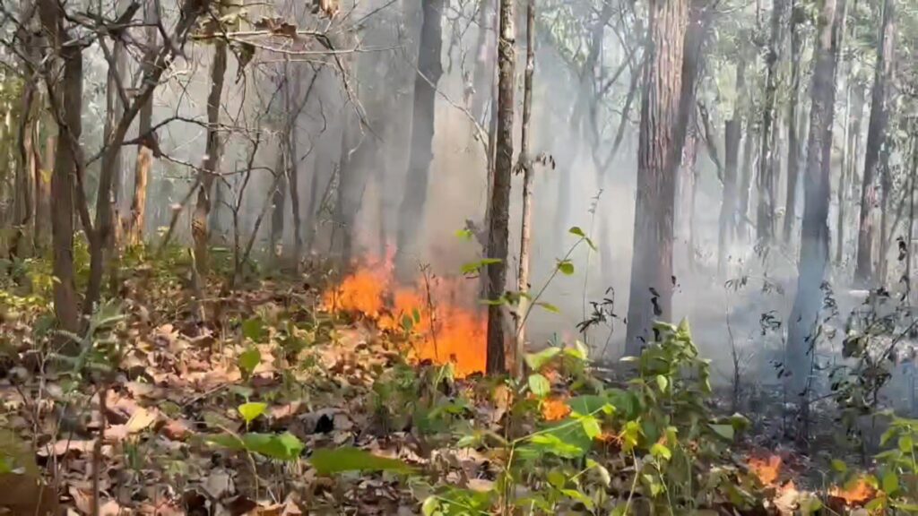 ððð¡ðððð§ð-:-สนธิกำลังดับไฟป่าดอยเวียงหล้า-วอด-30-ไร่-คาดมือม