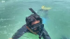 กรมทะเล-สำรวจสถานภาพหญ้าทะเลเกาะมะพร้าว-ครอบคลุมพื้นที่-35