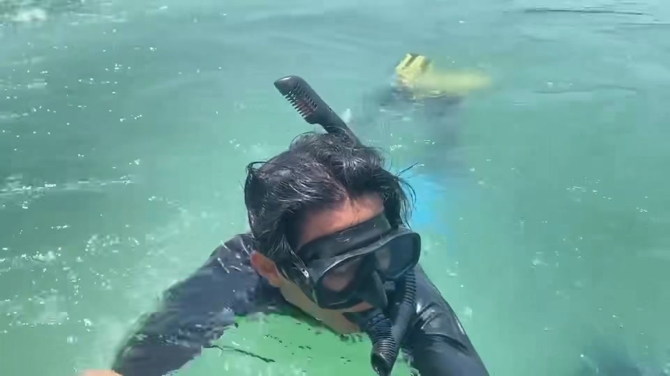 กรมทะเล-สำรวจสถานภาพหญ้าทะเลเกาะมะพร้าว-ครอบคลุมพื้นที่-35