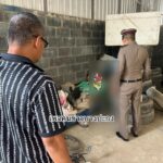 หาที่ตาe-หนุ่มเมียนมา-อดีตคนงานร้านปะยาง-ถูกเจ้าของไล่ออกเพ-|-2026-04-22-09:21:00