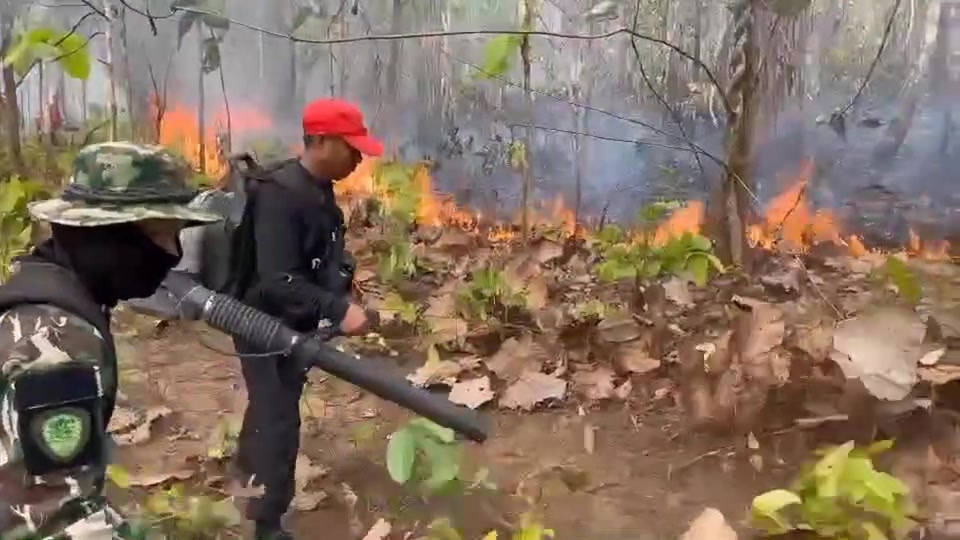ððð¡ðððð§ð-:-เจ้าหน้าที่สวนรุกขชาติแม่สุริน-สนธิกำลังดับไฟป่าข