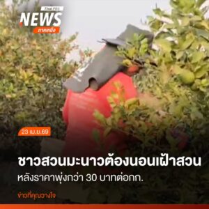 เกษตรกรบ้านสระงาม-ตำบลบ้านมะเกลือ-อำเภอเมืองนครสวรรค์-เร่งจ้