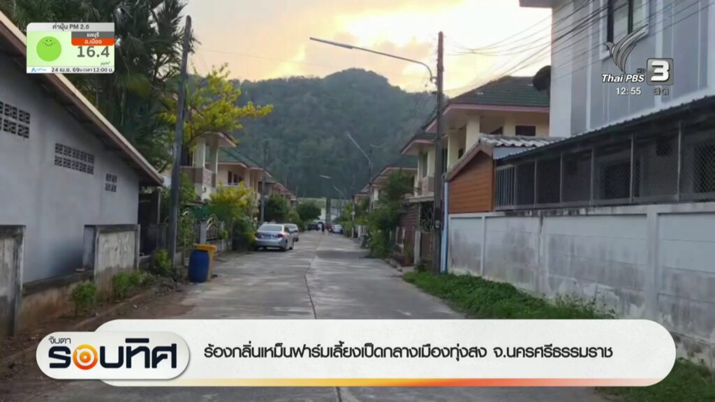 ร้องกลิ่นเหม็นฟาร์มเลี้ยงเป็ดกลางเมืองทุ่งสง-จ.นครศรีธรรมราช