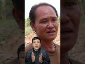 ฝ่าพายุฤดูร้อน ไปช่วยวัว เล่าปุ๊บรู้ปั๊บ สำนักข่าววันนิวส์