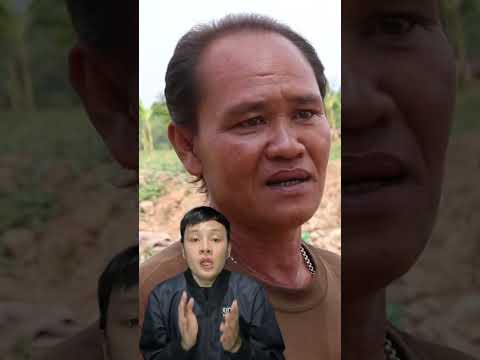 ฝ่าพายุฤดูร้อน ไปช่วยวัว เล่าปุ๊บรู้ปั๊บ สำนักข่าววันนิวส์