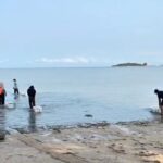 -ทช.-เดินหน้า-คืนชีพหญ้าทะเลเกาะสมุย-รวมพลัง-ฟื้นฟูระบบนิ