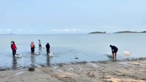 -ทช.-เดินหน้า-คืนชีพหญ้าทะเลเกาะสมุย-รวมพลัง-ฟื้นฟูระบบนิ