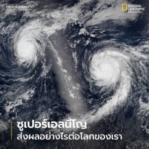 การคาดการณ์เบื้องต้นชี้ให้เห็นว่า-ปีนี้อาจมีโอกาสเกิดปรากฏกา