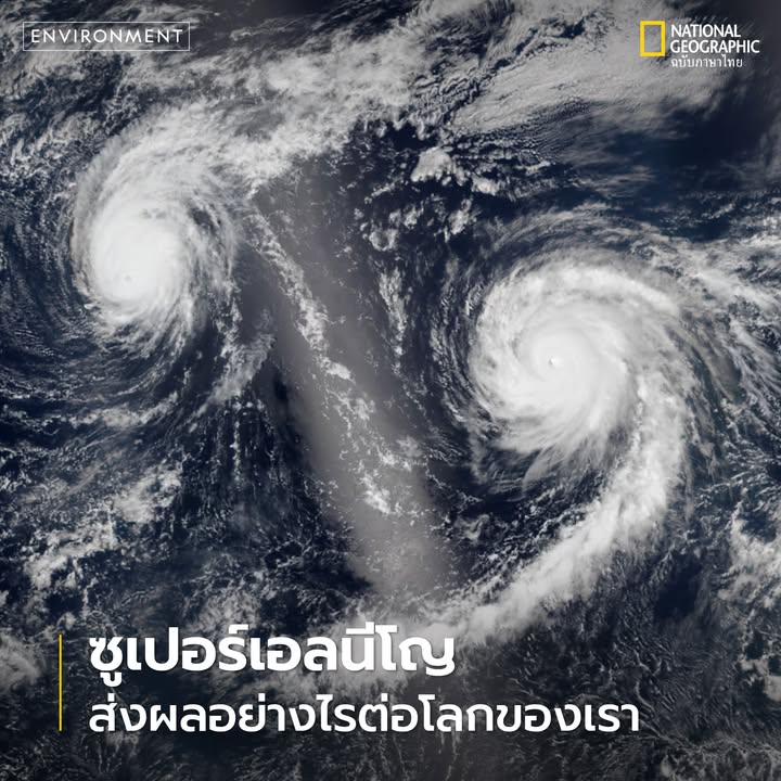 การคาดการณ์เบื้องต้นชี้ให้เห็นว่า-ปีนี้อาจมีโอกาสเกิดปรากฏกา