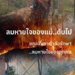 ส่งกำลังใจ…-จนทพิทักษ์ป่า​อช.ดอยเวียงผา-รับข่าวสูญเสียคุ