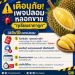 เตือนภัย-เพจปลอมลวงขาย-ทุเรียนราคาถูก.-หน้าทุเรียนแบบนี