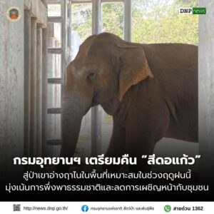 ðððð-:-กรมอุทยานแห่งชาติ-เตรียมคืน-สีดอแก้ว-สู่ป่าเขาอ่างฤาไนในพื