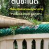 -บ้านดุง-จ.อุดรธานี-ต้นชะโนด-หักทับสะพานพญานาคทางเดินเข้าเก
