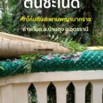 -บ้านดุง-จ.อุดรธานี-ต้นชะโนด-หักทับสะพานพญานาคทางเดินเข้าเก