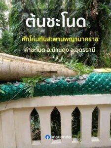 -บ้านดุง-จ.อุดรธานี-ต้นชะโนด-หักทับสะพานพญานาคทางเดินเข้าเก