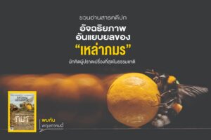 ความรู้ในวัยเด็กสอนให้เรารู้จัก-ผึ้ง-ในฐานะแมลงมีปีกขนาดเล