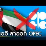 ยูเออี ฉุนเพื่อนบ้านไม่ช่วย ลาออก OPEC | ข่าวเช้าช่องวัน | สำนักข่าววันนิวส์