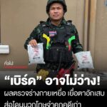 “เบิร์ด-วันว่างๆ”-คอนเทนต์กาวทาหน้าทำพิษ-ส่อโดนบวกโทษจำคุกคดีเก่า-พร้อมเผยผลตรวจร่างกายเห