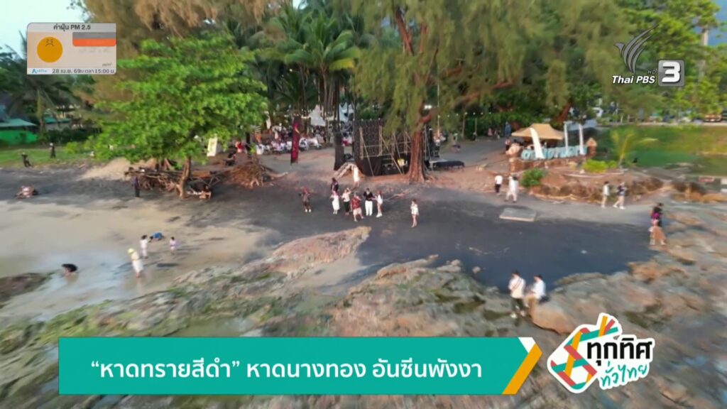 –-หาดทรายสีดำ-หาดนางทอง-อันซีนพังงา-สร้าง-โพรงรังเทียม