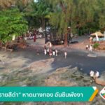 –-หาดทรายสีดำ-หาดนางทอง-อันซีนพังงา-สร้าง-โพรงรังเทียม