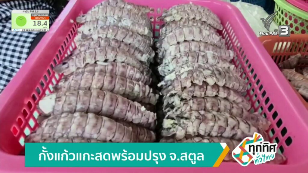 กั้งแก้วแกะสดพร้อมปรุง-จ.สตูล-ข่าวใต้แลได้ที่เรา-ne