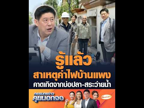 รู้แล้วสาเหตุค่าไฟบ้านแพง คาดเกิดจากบ่อปลา-สระว่ายน้ำ อัพเดทข่าว