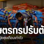 ตอนนี้เกษตรกรในภาคเหนือ-กำลังคิดหนัก-หลังราคาปุ๋ยยูเรียทุบสถ