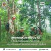 ð¿ðð-ððð£ððð§-:-อุทยานแห่งชาติขุนขาน-ยกระดับการป้องกันเชิงรุก-ใ