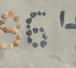 โพสต์รูปเปลือกหอยเป็นเลข-“86-47”-ของอดีต-ผู้อำนวยการเอฟบีไอ-ทำให้เขาถูกฟ้องข้อหาข่มขู่ทรัมป์ได้อย่างไ