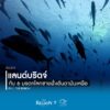 ภาพรวมของพื้นที่ชายฝั่งอันดามันตอนบน-จากระนอง-พังงา-จังหวัดภูเก็ต-เ