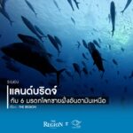 ภาพรวมของพื้นที่ชายฝั่งอันดามันตอนบน-จากระนอง-พังงา-จังหวัดภูเก็ต-เ